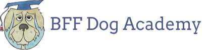 BFF Dog Academy